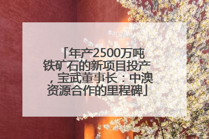 年产2500万吨铁矿石的新项目投产，宝武董事长：中澳资源合作的里程碑