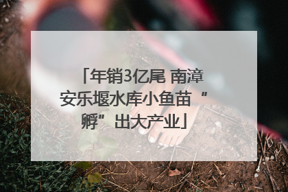 年销3亿尾 南漳安乐堰水库小鱼苗“孵”出大产业
