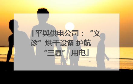 平舆供电公司：“义诊”烘干设备 护航 “三夏” 用电