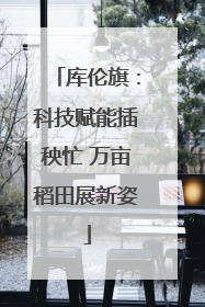 库伦旗：科技赋能插秧忙 万亩稻田展新姿