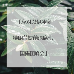 应对以伊冲突 特朗普提前退席七国集团峰会