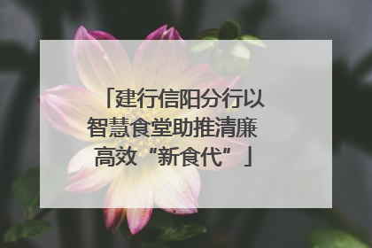 建行信阳分行以智慧食堂助推清廉高效“新食代”