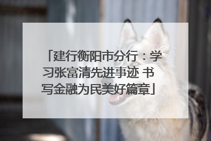 建行衡阳市分行：学习张富清先进事迹 书写金融为民美好篇章