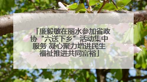 廉毅敏在丽水参加省政协“六送下乡”活动集中服务 凝心聚力增进民生福祉推进共同富裕