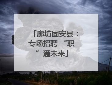 廊坊固安县：专场招聘 “职”通未来