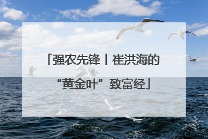 强农先锋丨崔洪海的“黄金叶”致富经
