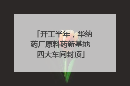开工半年，华纳药厂原料药新基地四大车间封顶