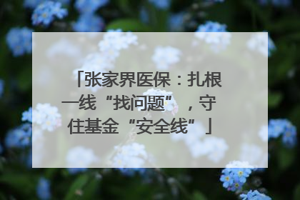 张家界医保：扎根一线“找问题”，守住基金“安全线”
