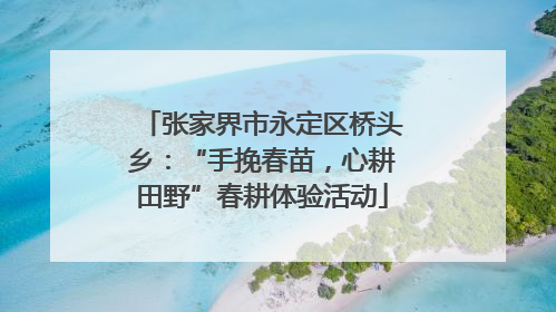张家界市永定区桥头乡：“手挽春苗，心耕田野”春耕体验活动