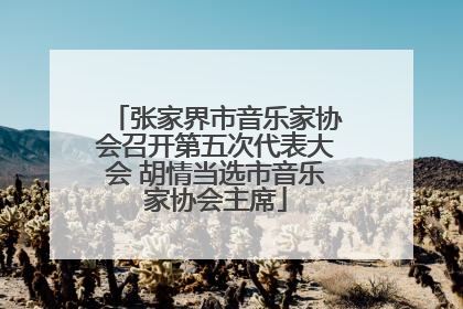 张家界市音乐家协会召开第五次代表大会 胡情当选市音乐家协会主席