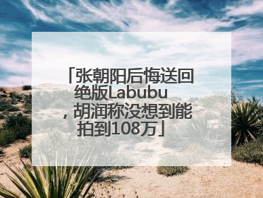 张朝阳后悔送回绝版Labubu，胡润称没想到能拍到108万