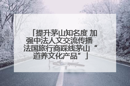 提升茅山知名度 加强中法人文交流传播 法国旅行商踩线茅山“道养文化产品”