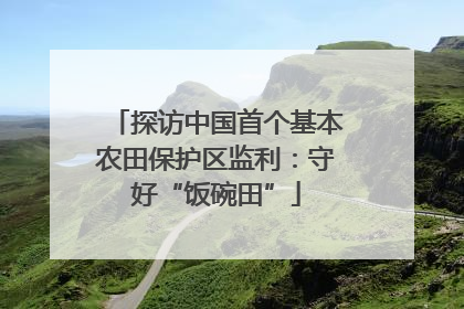 探访中国首个基本农田保护区监利：守好“饭碗田”