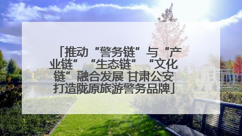 推动“警务链”与“产业链”“生态链”“文化链”融合发展 甘肃公安打造陇原旅游警务品牌