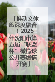 推动文体旅深度融合！2025年沈阳市第五届“联盟杯”橄榄球公开赛燃情开赛