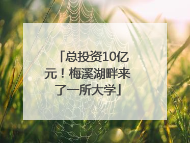 总投资10亿元！梅溪湖畔来了一所大学