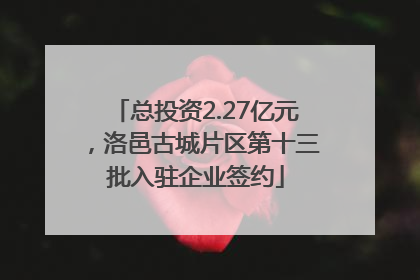 总投资2.27亿元，洛邑古城片区第十三批入驻企业签约