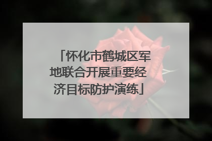 怀化市鹤城区军地联合开展重要经济目标防护演练