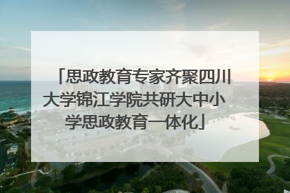 思政教育专家齐聚四川大学锦江学院共研大中小学思政教育一体化