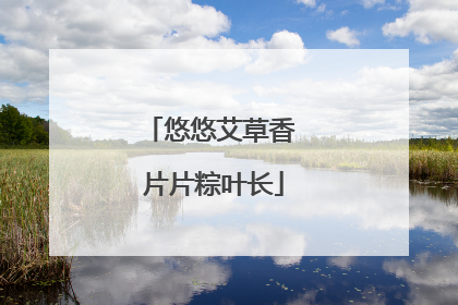 悠悠艾草香 片片粽叶长