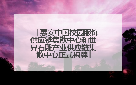 惠安中国校园服饰供应链集散中心和世界石雕产业供应链集散中心正式揭牌