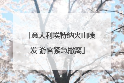 意大利埃特纳火山喷发 游客紧急撤离