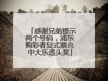 感谢兄弟提示两个号码，浦东购彩者复式票喜中大乐透头奖