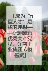 成为“π型人才”是我的理想——记湘潭市优秀共产党员、江南工业集团劳模杨斌