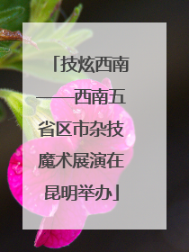 技炫西南——西南五省区市杂技魔术展演在昆明举办