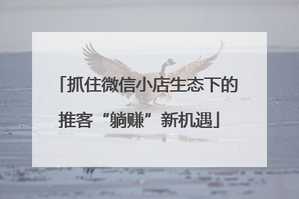 抓住微信小店生态下的推客“躺赚”新机遇