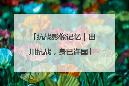 抗战影像记忆｜出川抗战，身已许国