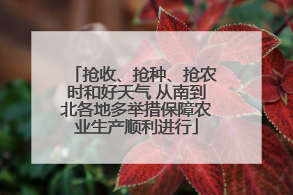 抢收、抢种、抢农时和好天气 从南到北各地多举措保障农业生产顺利进行