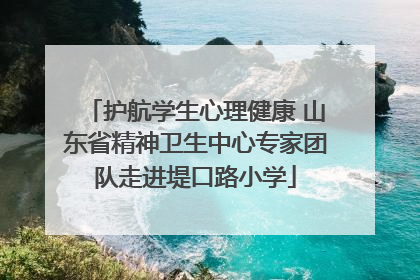 护航学生心理健康 山东省精神卫生中心专家团队走进堤口路小学
