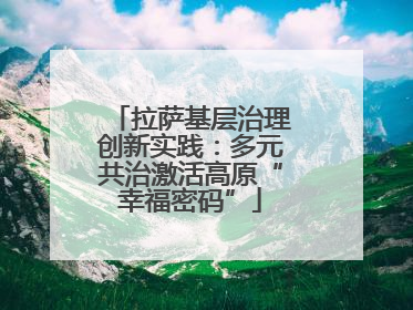 拉萨基层治理创新实践：多元共治激活高原“幸福密码”