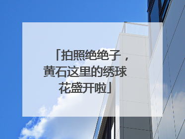 拍照绝绝子，黄石这里的绣球花盛开啦