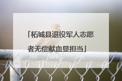 柘城县退役军人志愿者无偿献血显担当