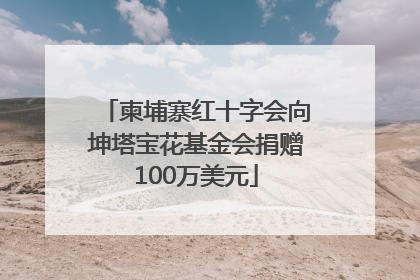 柬埔寨红十字会向坤塔宝花基金会捐赠100万美元