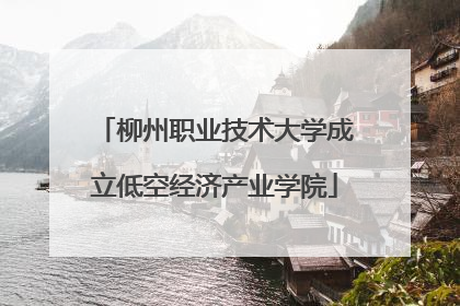 柳州职业技术大学成立低空经济产业学院