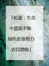 松滋：生态小番茄丰收 绿色农业助力农民增收