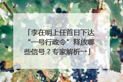 李在明上任首日下达“一号行政令”释放哪些信号？专家解析→