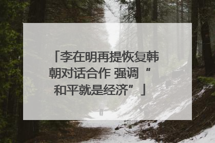 李在明再提恢复韩朝对话合作 强调“和平就是经济”