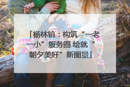 杨林镇：构筑“一老一小”服务圈 绘就“朝夕美好”新图景