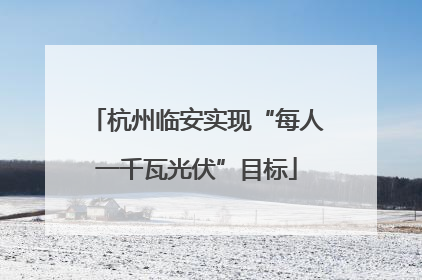 杭州临安实现“每人一千瓦光伏”目标