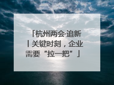 杭州两会·追新丨关键时刻，企业需要“拉一把”