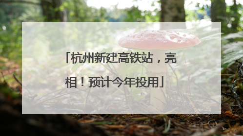 杭州新建高铁站，亮相！预计今年投用
