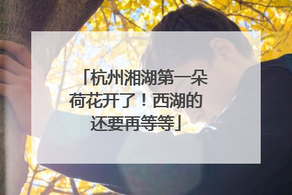 杭州湘湖第一朵荷花开了！西湖的还要再等等