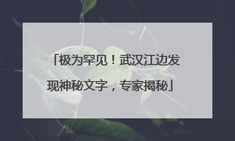 极为罕见！武汉江边发现神秘文字，专家揭秘