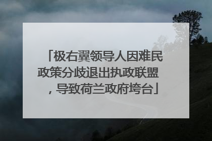 极右翼领导人因难民政策分歧退出执政联盟，导致荷兰政府垮台