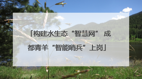构建水生态“智慧网” 成都青羊“智能哨兵”上岗