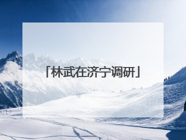 林武在济宁调研